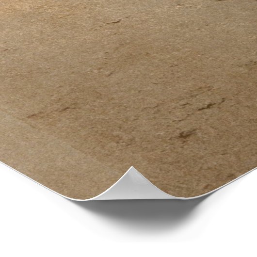 Meisje uit het Zwarte Woud in Duitsland (1900) Poster (Hoek)