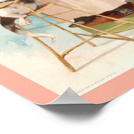  meisje van 1800, dat kat geeft in een haircut poster (Hoek)