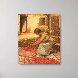 Meisje Verpakking Kersen in de Provence (Frankrijk Canvas Afdruk