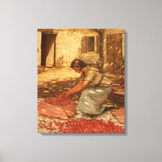 Meisje Verpakking Kersen in de Provence (Frankrijk Canvas Afdruk (Voorkant)