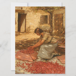 Meisje Verpakking Kersen in de Provence (Frankrijk Kaart