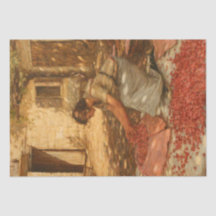 Meisje Verpakking Kersen in de Provence (Frankrijk