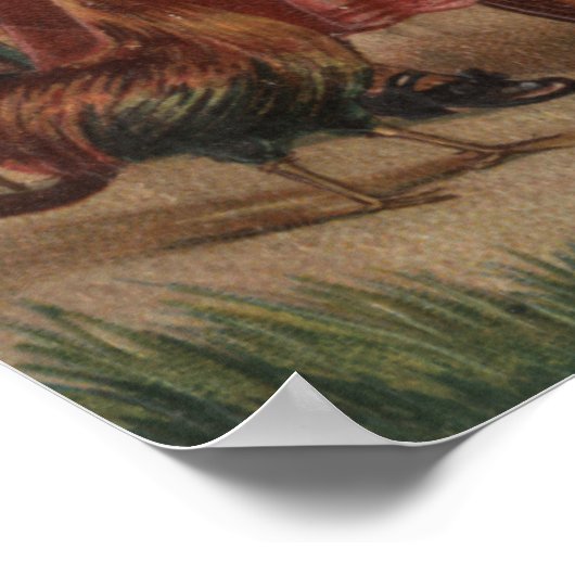 Meisje Walking Lamb, Chick en Rooster Poster (Hoek)