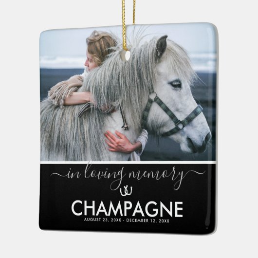 Meisjes Best Friend Horse Memorial Keepslag Cerami Keramisch Ornament (Links)