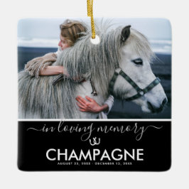 Meisjes Best Friend Horse Memorial Keepslag Cerami Keramisch Ornament