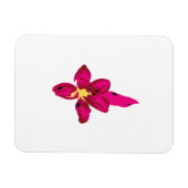 Meisjes design, lichtgoud, paars rood magneet (Horizontaal)