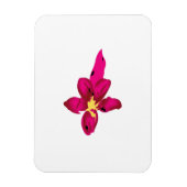 Meisjes design, lichtgoud, paars rood magneet (Verticaal)