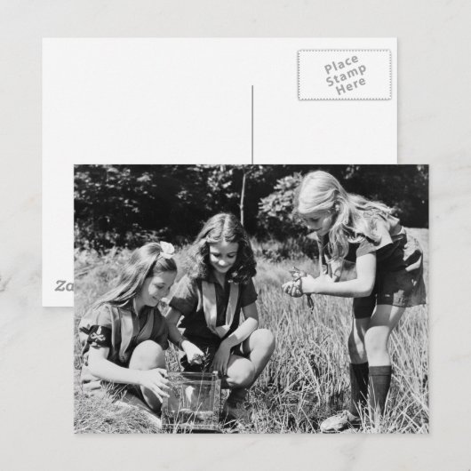 Meisjes die kikkers verzamelen, 1940 briefkaart (Voorkant / Achterkant)