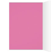 Meisjes in de Mirror Notecard (Binnen (Links))