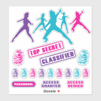 Meisjes Spy Party Stickers