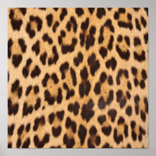 meisjesachtig chic wilde safari mode luipaardprint poster