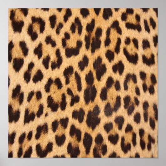 meisjesachtig chic wilde safari mode luipaardprint poster (Voorkant)