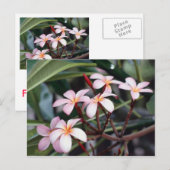 MeisjesBriefkaarten Briefkaart (Voorkant / Achterkant)