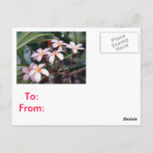 MeisjesBriefkaarten Briefkaart (Achterkant)