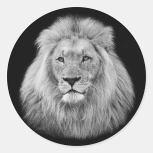 Meisjesmannetje zwart-wit foto ronde sticker