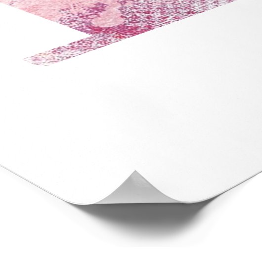 Meisjesnaam Brief H Boho Pink Waterverf Poster (Hoek)