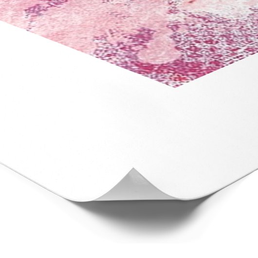 Meisjesnaam Letter D Roze Waterverf Poster (Hoek)