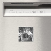 Meisjesschildkliervorming: 1919 magneet (Insitu (Vaatwasser))