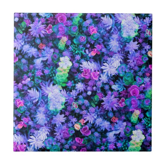 Meisroze en Paarse Floral Succulents Tegeltje (Voorkant)