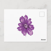 Meisstijl, lichte eierplant, gebleekte cedar briefkaart (Achterkant)