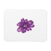 Meisstijl, lichte eierplant, gebleekte cedar magneet (Horizontaal)