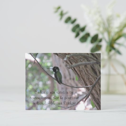 Meister Eckhart Contemplation Quote Hummingbird Briefkaart (Staand voorkant)