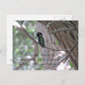 Meister Eckhart Contemplation Quote Hummingbird Briefkaart (Voorkant / Achterkant)
