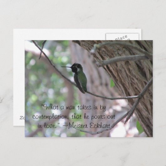 Meister Eckhart Contemplation Quote Hummingbird Briefkaart (Voorkant / Achterkant)