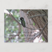 Meister Eckhart Contemplation Quote Hummingbird Briefkaart (Voorkant)