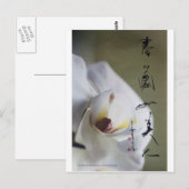 meitokai briefkaart 4 (Voorkant / Achterkant)