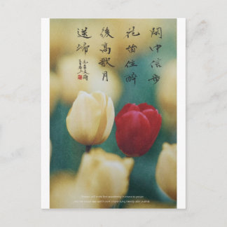 meitokai briefkaart 5