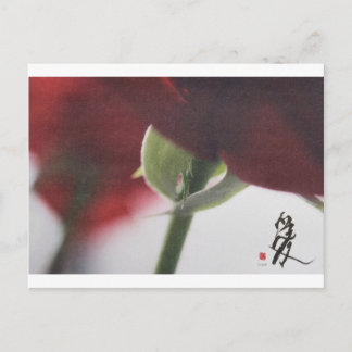 meitokai briefkaart 7