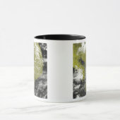 Mekong Delta en de Tonle Sap Mok (Midden)