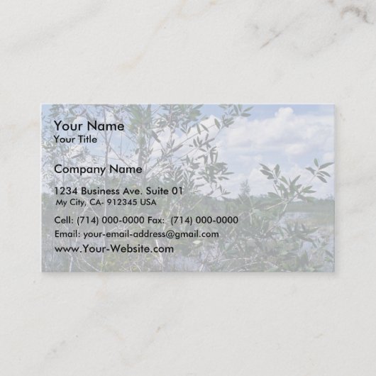 Melaleuca in moerasgebied visitekaartje (Voorkant)