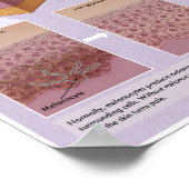 Melalogic Vitiligo Medical Poster (Hoek)