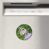 Melanargia galathea magneet (Insitu (Vaatwasser))