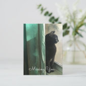 Melancholic zwarte kat zonder sociale afstand briefkaart (Staand voorkant)