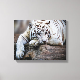 Melancholy Canvas Afdruk