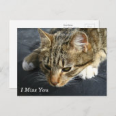 [Melancholy Cat] Ik mis je Briefkaart (Voorkant / Achterkant)