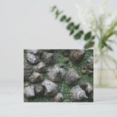 Melb. Botanische tuinen 1 Briefkaart (Staand voorkant)