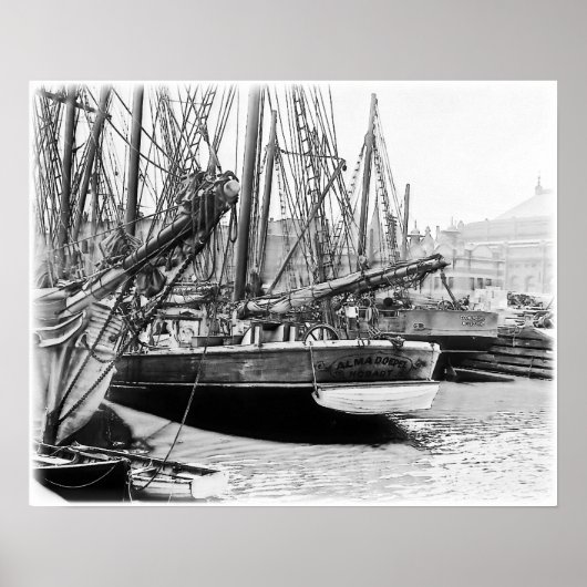 Melbourne, 1903: The Alma Doepel Poster (Voorkant)