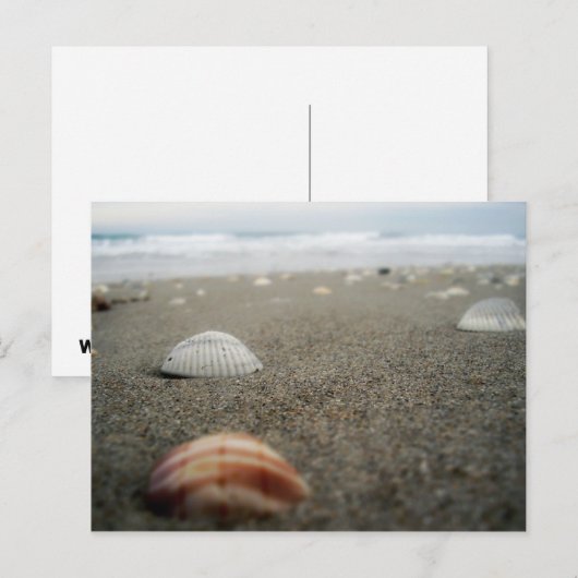 Melbourne strand in Florida Briefkaart (Voorkant / Achterkant)