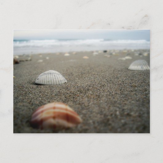 Melbourne strand in Florida Briefkaart (Voorkant)