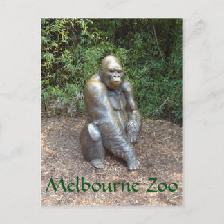 Melbourne Zoo Gorilla Briefkaart