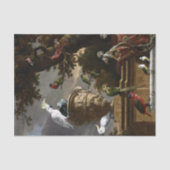 Melchior d'Hondecoeter The Menagerie Tissuepapier (Voorkant)