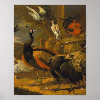 Melchior d'Hondecoeter - Vogels in een park