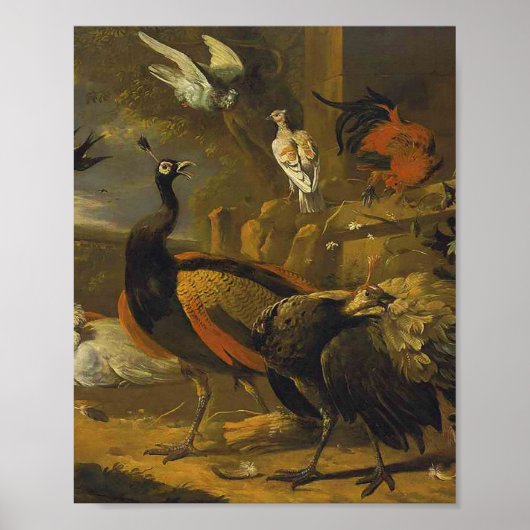 Melchior d'Hondecoeter - Vogels in een park Poster (Voorkant)