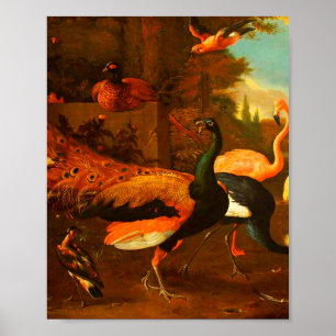 Melchior d'Hondecoeter - Vogels in een park Poster