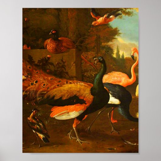 Melchior d'Hondecoeter - Vogels in een park Poster (Voorkant)