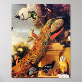 Melchior d'Hondecoeter - Vogels in een park Poster (Voorkant)